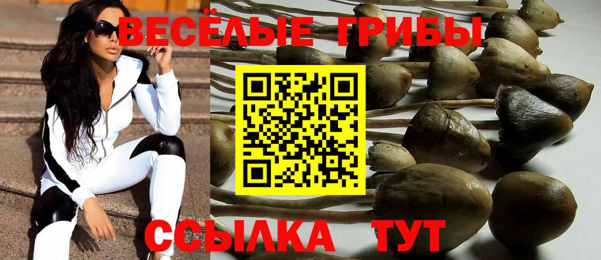 купить закладку  Псилоцибиновые грибы Magic Shrooms  Вход с VPN  Полысаево 